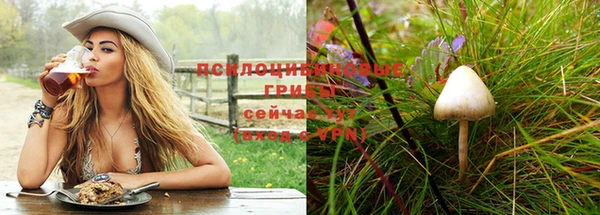 прущие крисы Баксан