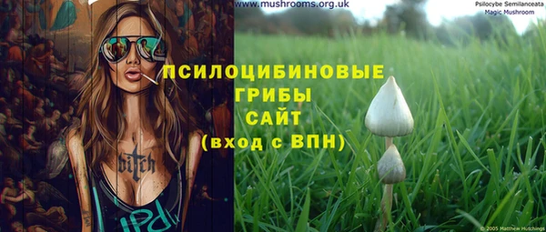 спайс Няндома