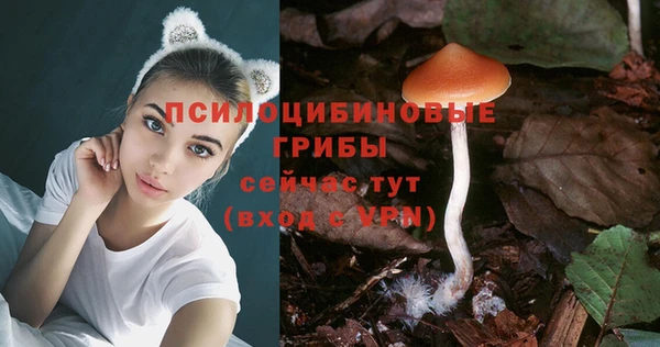 прущие крисы Баксан