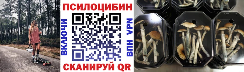 Псилоцибиновые грибы Psilocybine cubensis mega ONION Тарко-Сале